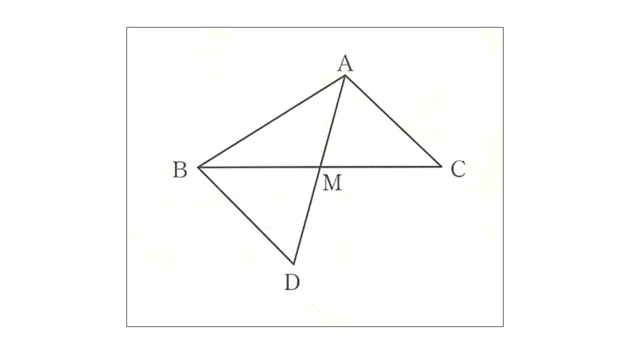 オンライン個別指導の個別教師Camp　三角形の図